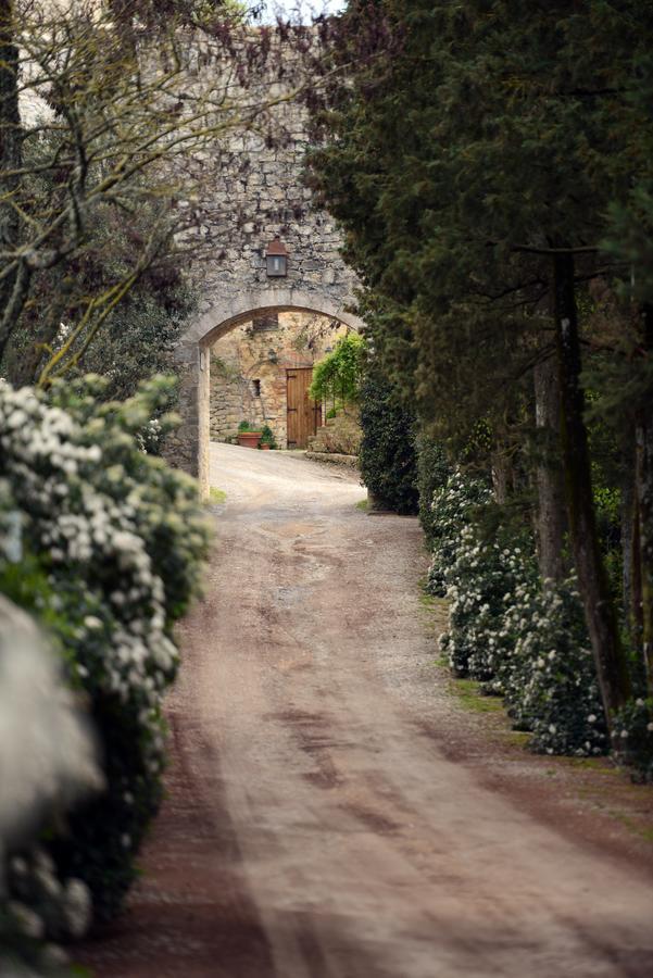 Castello Di Fighine Villa San Casciano dei Bagni Exterior foto